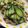 クックPX4GUB☆'s cooksnap of when they made きゅうりと豚肉の梅ポン酢炒め.