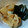 かおり85's cooksnap of when they made 厚揚げ&大根&昆布のやさしい煮物.