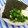 キャシーキャサリン's cooksnap of when they made 『何か少し、欲しい』ときに、海苔葱マヨ❀.