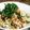 ソネチコ's cooksnap of when they made ♡ふわふわ炒り高野豆腐♡.