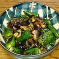ちぇりぃ2014's cooksnap of when they made なすとししとうの揚げびたし.