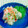 SP♪'s cooksnap of when they made スモークサーモンのおろし和え.
