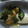 ＭＯＭＯパンダ's cooksnap of when they made とろとろ～私の好きな納豆の食べ方.