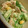 たもたん's cooksnap of when they made オクラとツナのマヨマスタード和え.