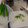 漢の台所's cooksnap of when they made オクラの茹で方 冷凍保存方法.