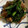 シュウ72's cooksnap of when they made 旨ウマ♪夏にスタミナ！ニラと砂肝の炒め物.