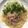 平井のたろー's cooksnap of when they made ✿大根おろしとツナのさっぱりパスタ✿.