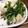 卵せんべい's cooksnap of when they made 空芯菜と豚肉の中華炒め.