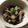 azbjbn's cooksnap of when they made おくら&みょうが&ワカメのわさびポン酢.