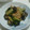 ショコラメロン's cooksnap of when they made ササミと茄子とおばけきゅうりの甘辛炒め.