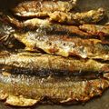 Pamakani's cooksnap of when they made 休日のランチに　５分で簡単　さんまの蒲焼.