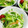 myとんすけ's cooksnap of when they made ちくわ好きのための♪ちくわサラダ♪.