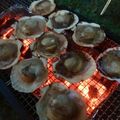 papikun's cooksnap of when they made バーベキューに！ホタテ等二枚貝の焼き方！.