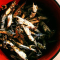 りんごぉぉぉ's cooksnap of when they made 簡単！！いりこのごまあえ.