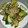 まゅ＠たん's cooksnap of when they made 豚肉ときゅうりの美味い炒め物.