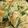 クックAA38TF☆'s cooksnap of when they made ✿手早く❀かじき切り身と✿野菜の炒め.