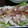 クックUPFDDQ☆'s cooksnap of when they made ささみの梅ドレ和え.