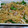 ポパイ474's cooksnap of when they made そうめんかぼちゃと豚ひき肉の炒め物.