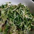 フカマチ's cooksnap of when they made 簡単✴ヘルシー♥鶏肉とカイワレのサラダ.