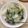 クックHRXIWV☆'s cooksnap of when they made 野菜たっぷり中華丼.