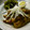 marcorossi's cooksnap of when they made さんまの甘辛醤油　：追記.