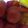 クック53IIXY☆'s cooksnap of when they made 野菜とイカのマリネ.
