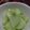 プチちゃん's cooksnap of when they made はやとうりの寿司酢漬け.