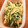 Aカエルくん's cooksnap of when they made あと一品 味醂なし水菜と油揚げの炊いたん.