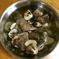 ☆こまっと☆'s cooksnap of when they made 蛤のお吸い物の下準備.