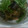 クック1JM6J5☆'s cooksnap of when they made 【麺つゆで簡単】ナスとミョウガの煮浸し.