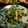 越後のさくらもち's cooksnap of when they made 子供大好き！ピーマン塩昆布和え.