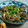 mitsuha11's cooksnap of when they made 砂肝とキノコのにんにく炒め.