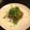 猫リン's cooksnap of when they made 生姜香る牛肉ピリ辛炒め パクチーのせ.