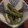 mokomoko35's cooksnap of when they made いんげん豆の胡麻和え(エゴマver.).