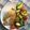 鴉猫と白猫のママ's cooksnap of when they made パンガシウスのムニエル.