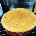 hirogon12's cooksnap of when they made ブレンディ♡でコーヒースポンジケーキ.