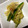 ＋えりちん＋'s cooksnap of when they made きゅうりとミョウガの酢の物.
