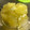 夕飯は６時です's cooksnap of when they made 簡単♪材料３つ　レモンはちみつ漬け.