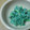 ふらり's cooksnap of when they made 簡単：春菊の胡麻マヨネーズ和え.