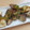 きらり流れ星's cooksnap of when they made なすとゴーヤの味噌炒め.