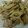 miyarobo's cooksnap of when they made 鶏とレンコンのねぎ塩炒め.
