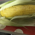 Yokchina's cooksnap of when they made レンジで簡単とうもろこしの美味しい茹で方.