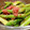 マロン*マロン's cooksnap of when they made 新玉で！アスパラと玉ねぎのたらこ和え.
