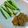 ツバミックス's cooksnap of when they made 青唐辛子みそ（ちりめんじゃこ入り）.