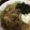 gumy's cooksnap of when they made 我が家の定番肉うどん☆彡.