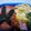 ひまゆま's cooksnap of when they made 昆布の佃煮で！　激旨！簡単めんたいこスパ.