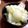リトルエミエル's cooksnap of when they made 冬瓜のサッパリ昆布茶漬け.