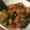 borsch's cooksnap of when they made キムチときゅうりのオイキムチ.
