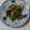 イチゴ、イチゴ。's cooksnap of when they made 豚肉と豆苗の塩胡椒炒め.