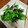 みい太母ちゃん's cooksnap of when they made 万願寺とうがらし昆布あえ☆.